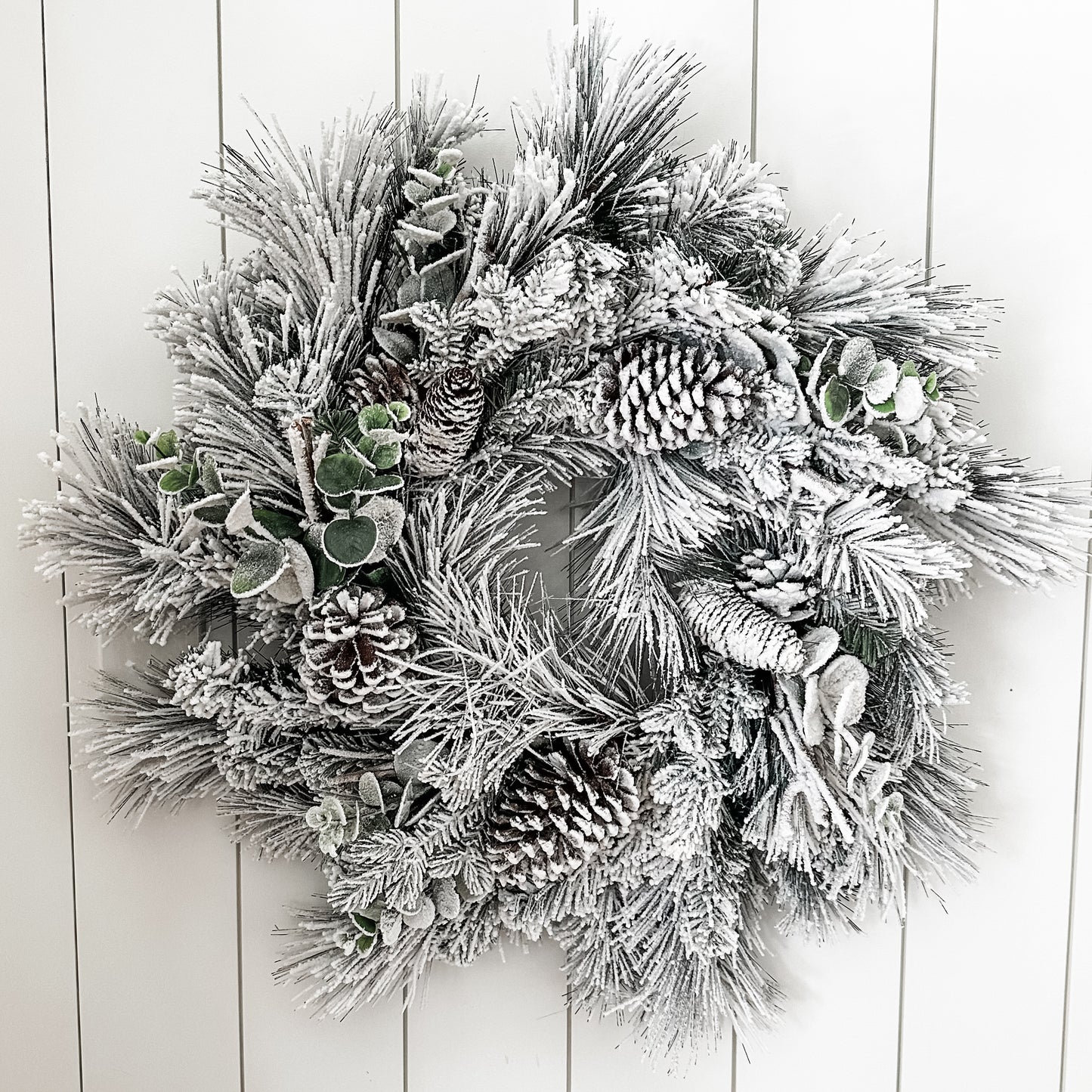 24" Snowy Long Needle Pine & Eucalyptus Wreath