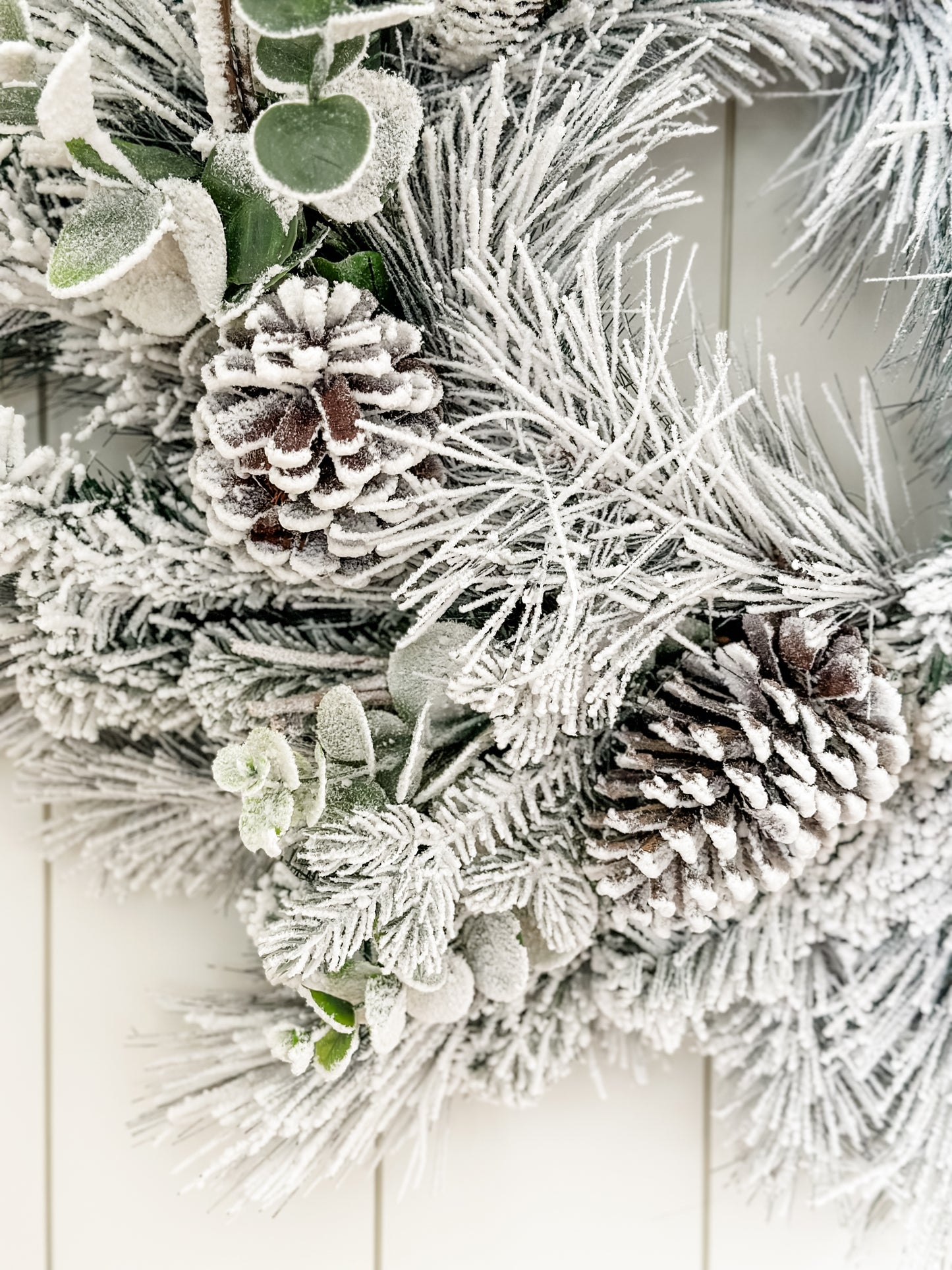 24" Snowy Long Needle Pine & Eucalyptus Wreath