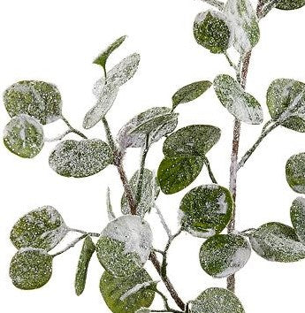 Set of 3 Snowy Silver Dollar Eucalyptus